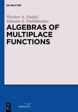 Algebras of Multiplace Functions