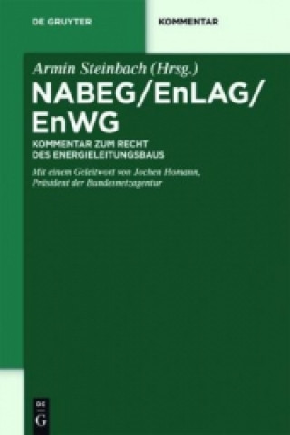 NABEG / EnLAG / EnWG