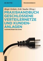 Praxishandbuch Geschlossene Verteilernetze und Kundenanlagen