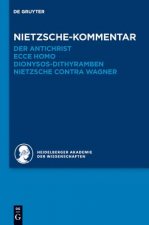 Historischer und kritischer Kommentar zu Friedrich Nietzsches Werken, Band 6.2, Nietzsche-Kommentar