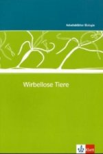 Wirbellose Tiere, m. 1 CD-ROM