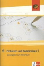 Probieren und Kombinieren 1