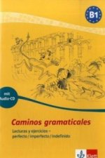 Caminos gramaticales B1, m. Audio-CD