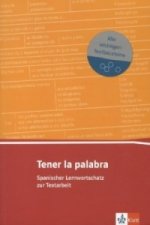 Tener la palabra: Besser Spanisch schreiben