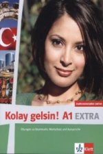 Kolay gelsin! Türkisch für Anfänger - Übungen zu Grammatik, Wortschatz und Aussprache