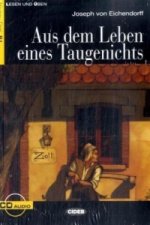 Aus dem Leben eines Taugenichts, m. Audio-CD