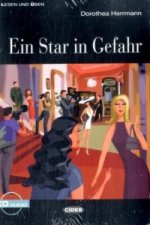 Ein Star in Gefahr, m. Audio-CD