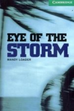 Eye of the Storm