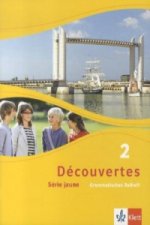 Découvertes. Série jaune (ab Klasse 6). Ausgabe ab 2012 - Grammatisches Beiheft. Bd.2