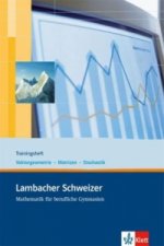 Lambacher Schweizer Mathematik berufliches Gymnasium Trainingsheft Analytische Geometrie/Stochastik