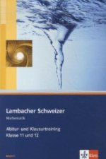Lambacher Schweizer Mathematik Abitur- und Klausurtraining. Ausgabe Bayern
