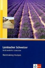 Lambacher Schweizer Mathematik Basistraining Analysis. Ausgabe Baden-Württemberg