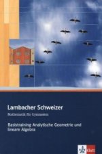 Lambacher Schweizer Mathematik Basistraining Themenband Analytische Geometrie und lineare Algebra
