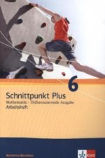 Schnittpunkt Plus Mathematik 6. Differenzierende Ausgabe Nordrhein-Westfalen