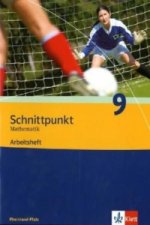 Schnittpunkt Mathematik 9. Ausgabe Rheinland-Pfalz