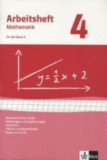 Rationale Zahlen, Terme, Gleichungen/Ungleichungen, Flächen-/Rauminhalt. Ausgabe ab 2009