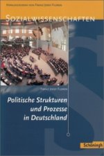 Politische Strukturen und Prozesse in Deutschland, Neubearbeitung