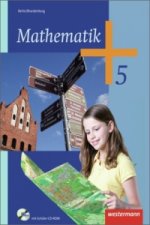 Mathematik - Ausgabe 2013 für das 5. und 6. Schuljahr in Berlin und Brandenburg