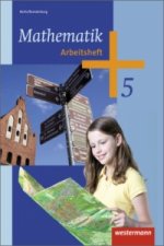 Mathematik - Ausgabe 2013 für das 5. und 6. Schuljahr in Berlin und Brandenburg