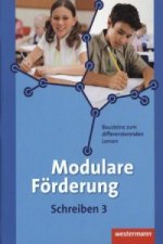 Modulare Förderung für den Deutschunterricht