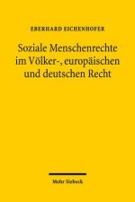 Soziale Menschenrechte im Voelker-, europaischen und deutschen Recht