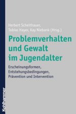 Problemverhalten und Gewalt im Jugendalter