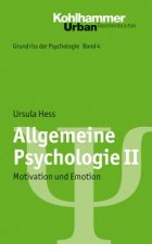 Allgemeine Psychologie. Bd.2