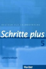 Schritte Plus