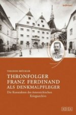 Thronfolger Franz Ferdinand als Denkmalpfleger