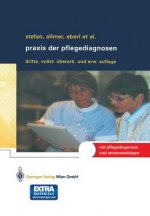 Praxis der Pflegediagnosen, m. CD-ROM