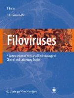 Filoviruses