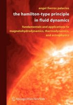 Hamilton-Type Principle in Fluid Dynamics