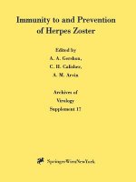 Immunity to and Prevention of Herpes Zoster