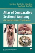 Atlas of Comparative Sectional Anatomy of 6 invertebrates and 5 vertebrates