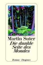 Die Dunkle Seite Des Mondes