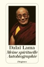 Meine spirituelle Autobiographie