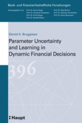 Parameter Uncertainty and Learning in Dynamic Financial Decisions