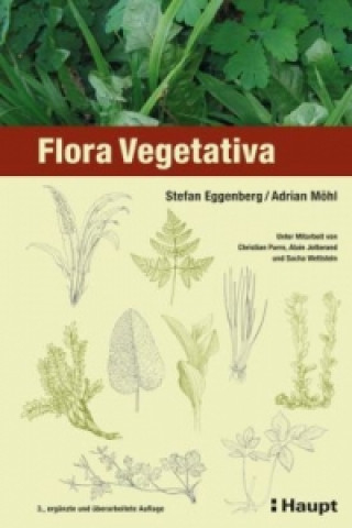 Flora Vegetativa