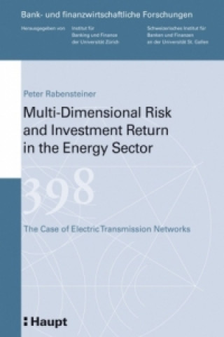 Multi-Dimensional Risk and Investment Return in the Energy Sector