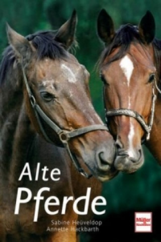 Alte Pferde