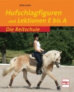 Hufschlagfiguren und Lektionen E bis A
