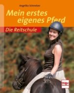 Mein erstes eigenes Pferd