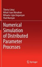 Numerical Simulation of Distributed Parameter Processes