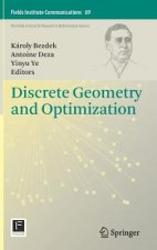 Discrete Geometry and Optimization