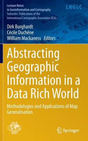 Abstracting Geographic Information in a Data Rich World
