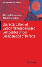 Characterization of Carbon Nanotube Based Composites under Consideration of Defects