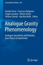 Analogue Gravity Phenomenology