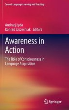 Awareness in Action
