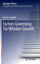 Factors Governing Tin Whisker Growth