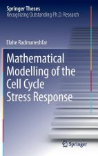 Mathematical Modelling of the Cell Cycle Stress Response